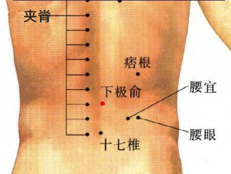 下极俞
