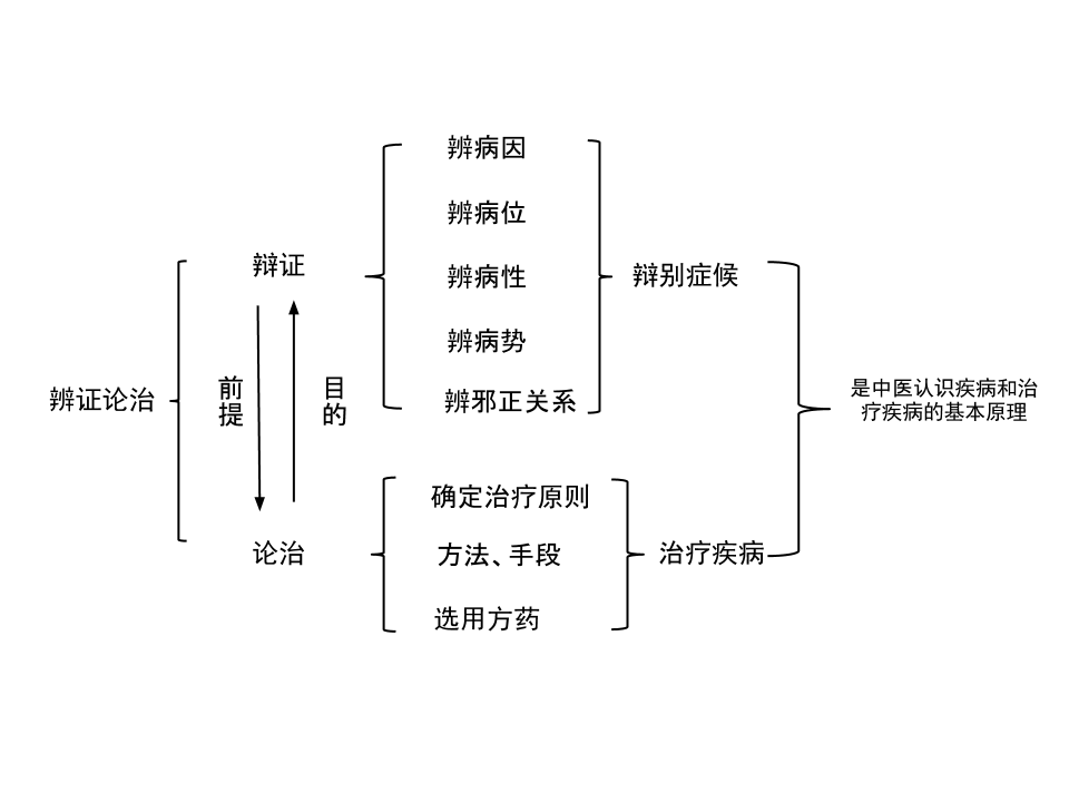 辨证论治