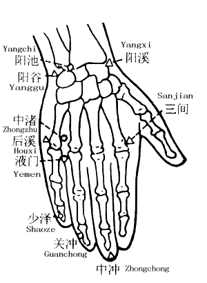 Zhongzhu