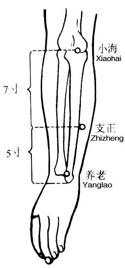 Yanglao