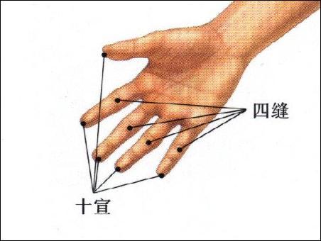 十宣