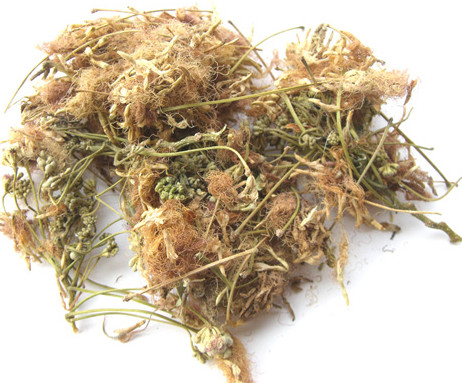 合 欢 花