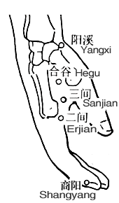 Hegu