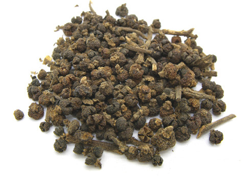 吴茱萸2