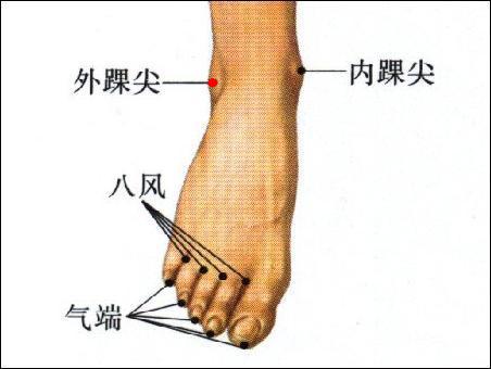 外踝尖 