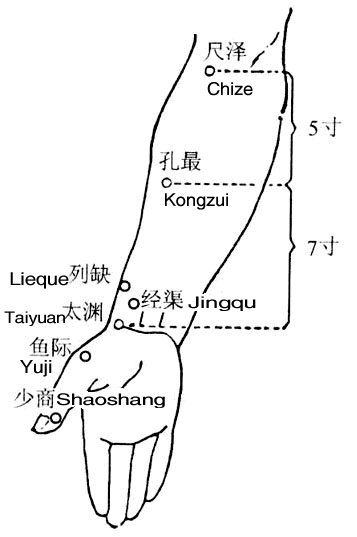 Kongzui