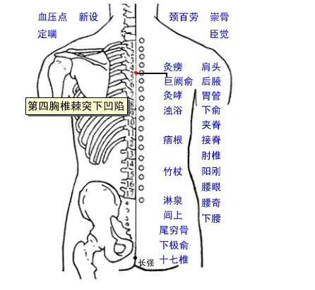巨阙俞
