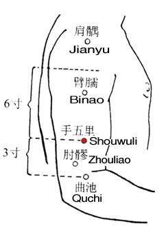 Shouwuli