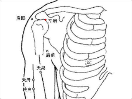 抬肩