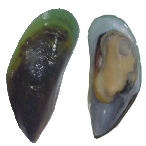 GangMu167_2