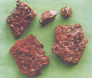 GangMu135_1
