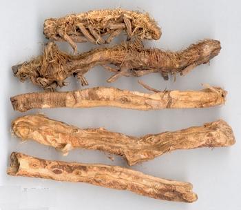 GangMu38_3_2