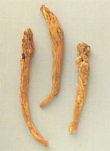 GangMu44_5_3