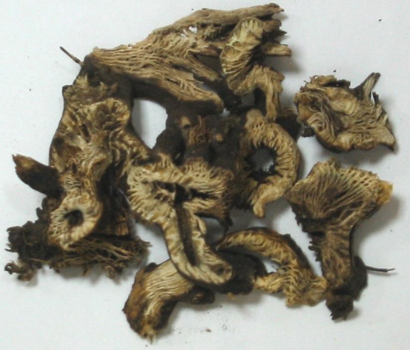GangMu46_3_2