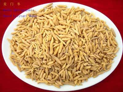 GangMu62_4