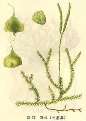 GangMu83_5
