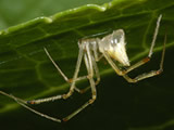 GangMu154_5