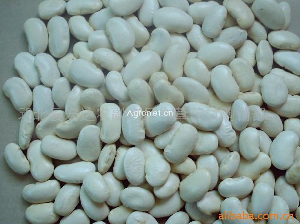 GangMu102_4