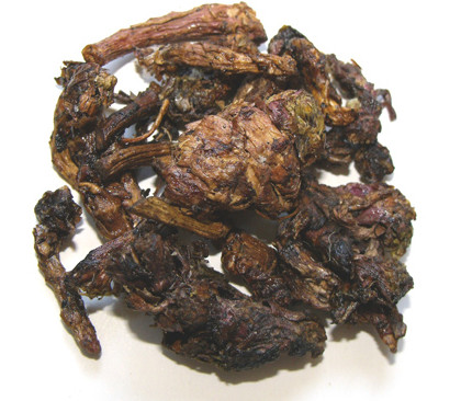 炙款冬花