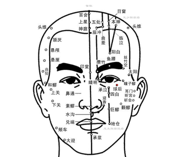 球后