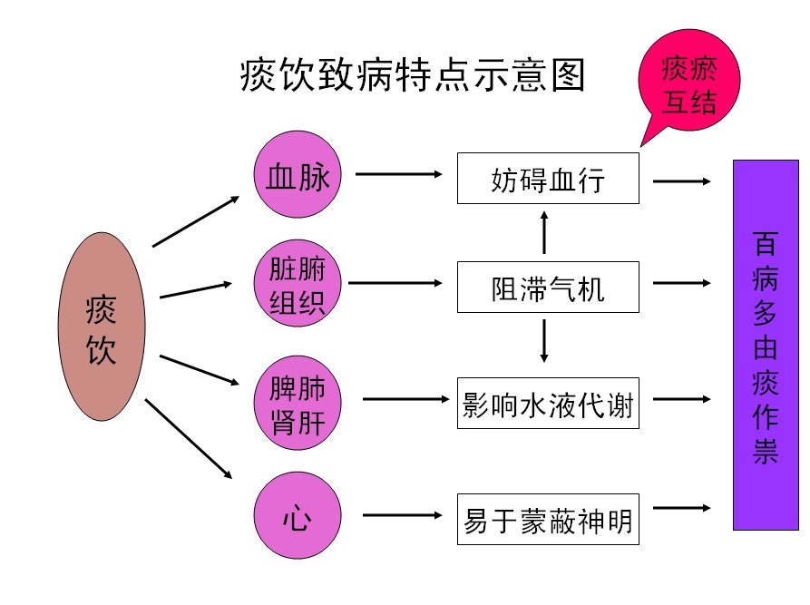 痰饮致病特点示意图