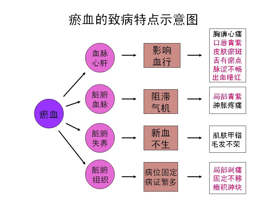 瘀血致病特点示意图