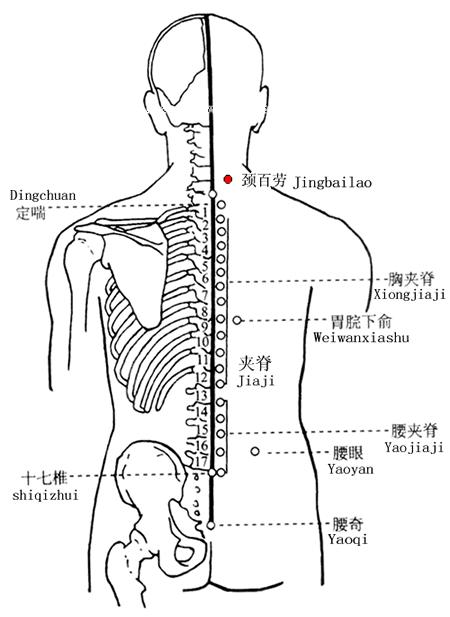 百劳