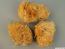 姜竹茹3