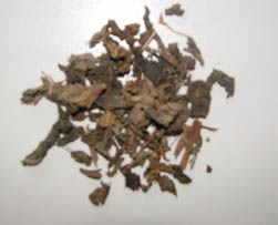 紫珠2