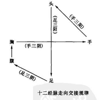 十二经脉走向交接规律