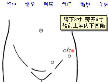 维胞