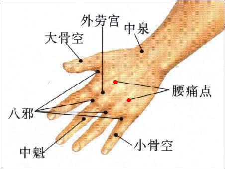 腰痛点