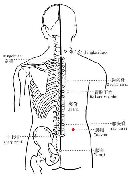 腰眼