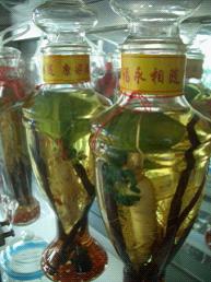 花瓶状的药酒