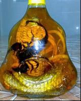 药酒
