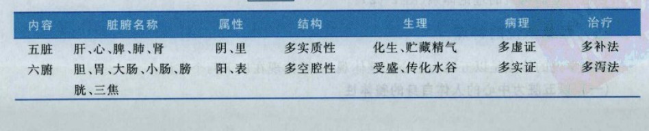 五脏六腑的区别