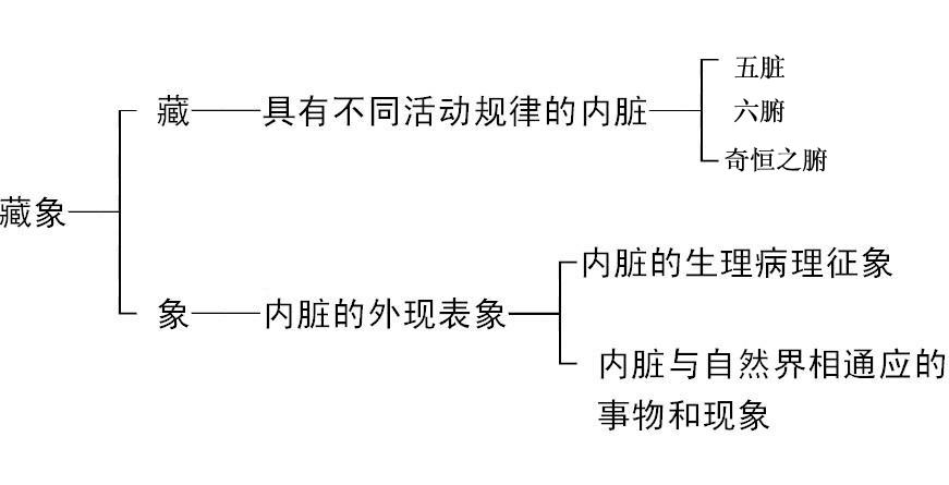 藏象