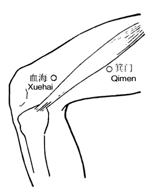 Xuehai