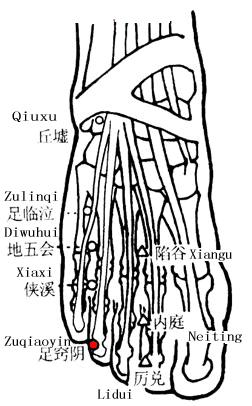 Zuqiaoyin
