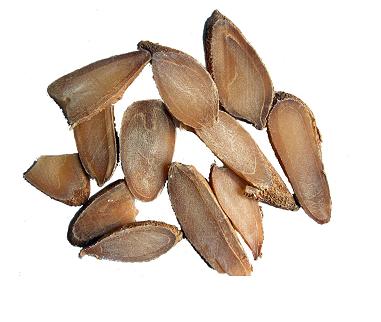 郁金1