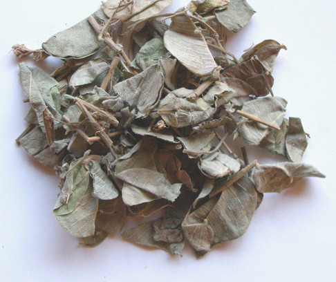 金钱草2