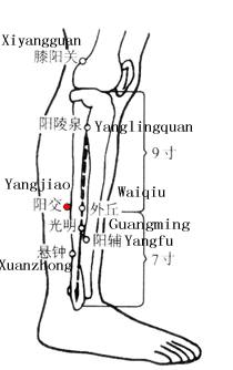 Yangjiao