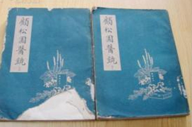 顾松园 医镜