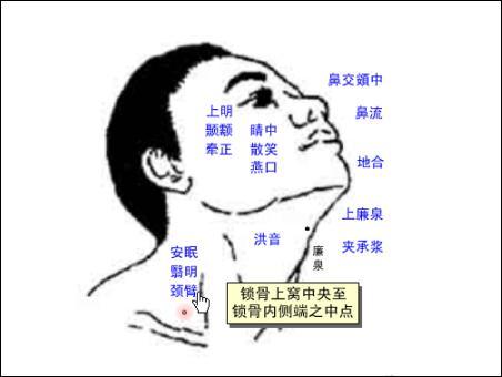 颈臂