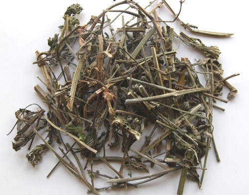 马鞭草 2