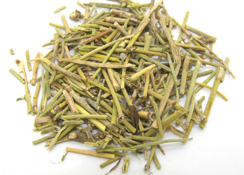 生麻黄2