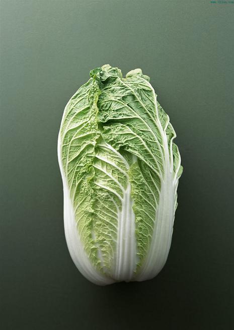 黄芽菜